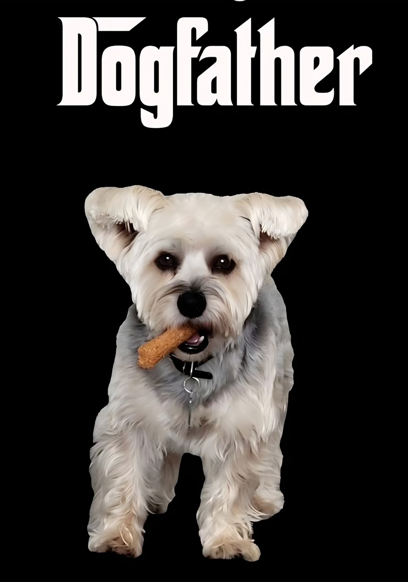 Frankie the Dog